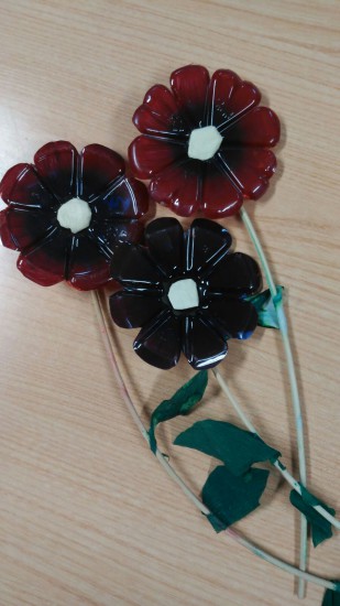 img-20161221-wa0018