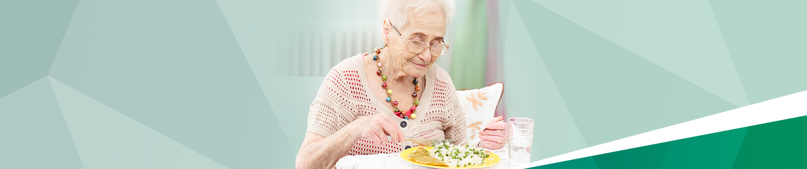 Déficits nutricionales en ancianos