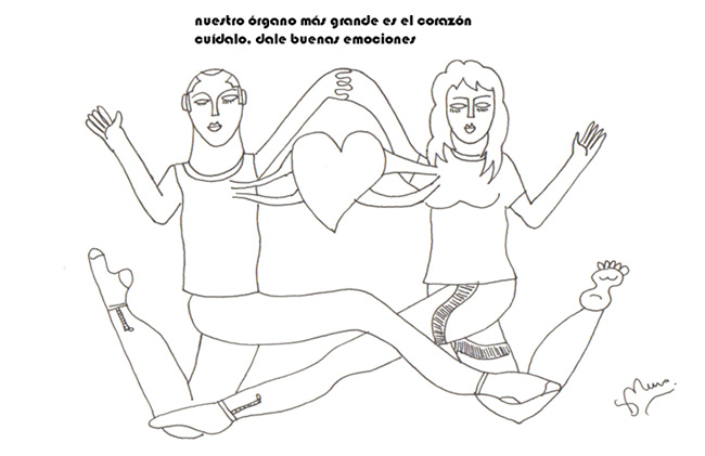 el corazon el organo más grande