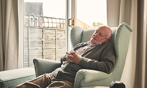 Hombre mayor se queda dormido en un sillón durante el día