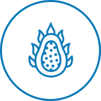 Fruta